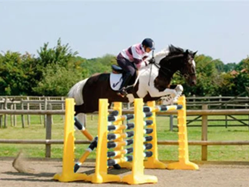 Carol Mailer Intermediate Set | 3 Fence - Image 3