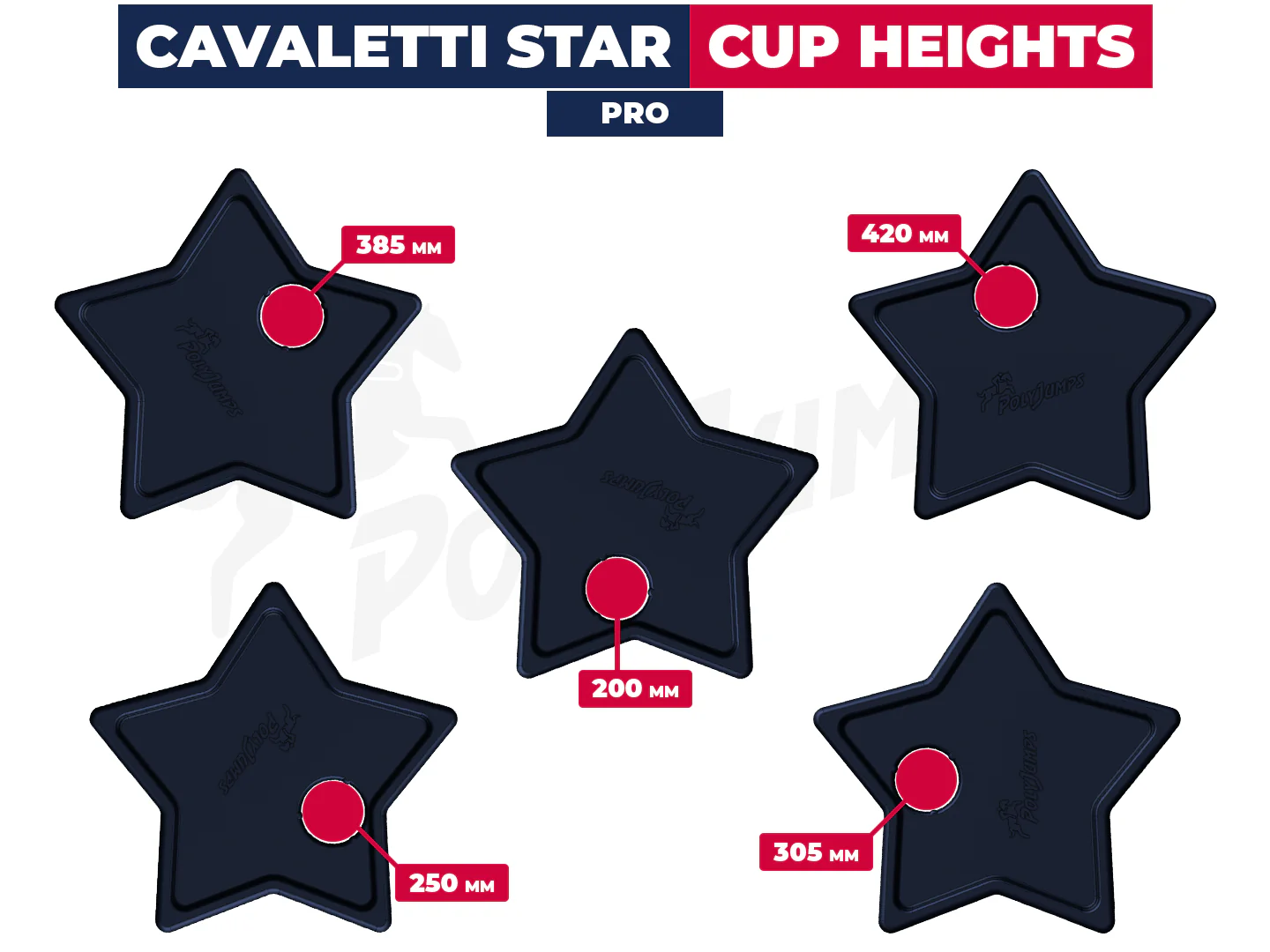 Cavaletti Star (All Colours) | Pair - Image 3