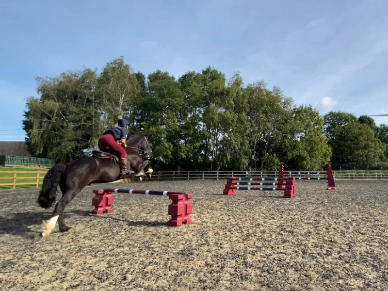 Progression Jump Set | 3 Fence - Image 7